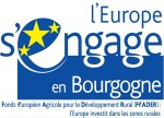 LOGO bourgogne_zones rurales