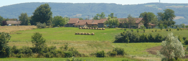 Paysage typique de la Bresse : haies, bottes de pailles et batiments à toiture rouge en arrière plan